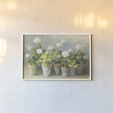 White Geraniums by Danhui Nai. shown as a paper print in a white frame. Available as a archival giclee rolled canvas, fine art paper, or poster print. SKU 13244i.