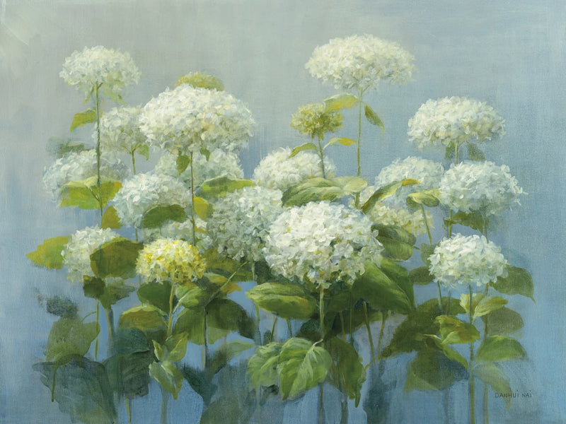 White Hydrangea Garden by Danhui Nai