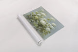 White Hydrangea Garden by Danhui Nai. shown as a rolled paper print. Available as archival giclee rolled canvas, fine art paper, or poster print. SKU 9375i.