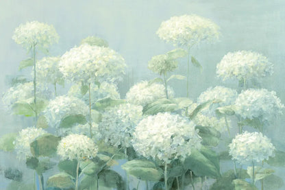 White Hydrangea Garden Sage Crop by Danhui Nai. SKU 48393i. Archival Giclee Fine art print for wall decor.