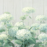 White Hydrangea Garden Sage on Wood Crop by Danhui Nai. SKU 48404a. Archival Giclee Fine art print for wall decor.