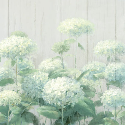White Hydrangea Garden Sage on Wood Crop by Danhui Nai. SKU 48404a. Archival Giclee Fine art print for wall decor.