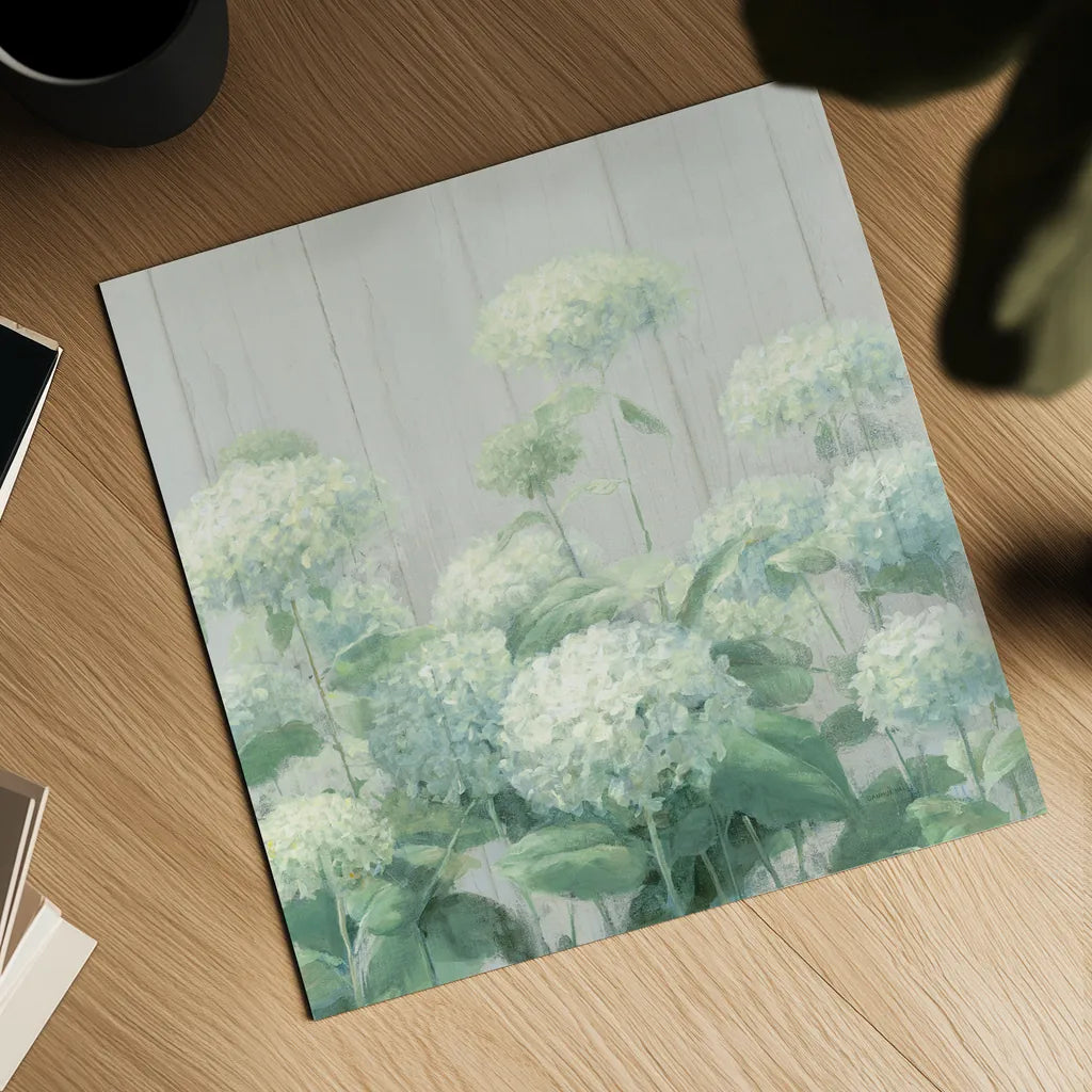 White Hydrangea Garden Sage on Wood Crop by Danhui Nai. Shown as a detailed flat fine art print, highlighting archival giclee quality. Available as an archival giclee rolled canvas, fine art paper, or poster print. SKU 48404a.