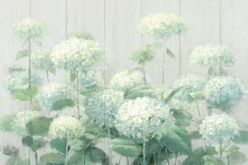 White Hydrangea Garden Sage on Wood Crop by Danhui Nai. SKU 48404i. Archival Giclee Fine art print for wall decor.