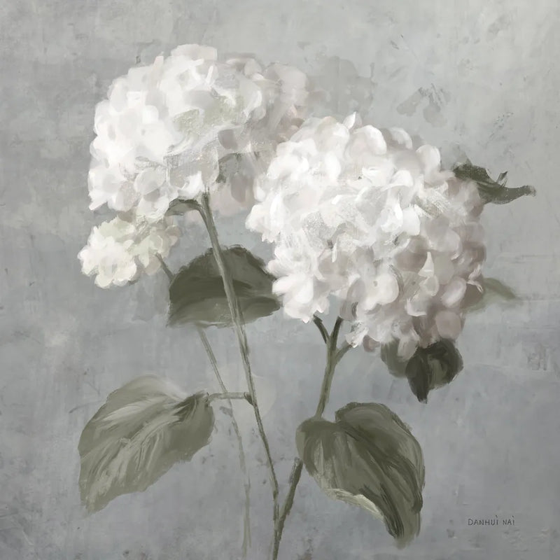 White Hydrangeas by Danhui Nai. SKU 91400a. Archival Giclee Fine art print for wall decor.