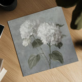 White Hydrangeas by Danhui Nai. Shown as a detailed flat fine art print, highlighting archival giclee quality. Available as an archival giclee rolled canvas, fine art paper, or poster print. SKU 91400a.