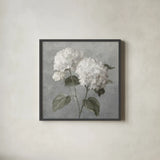White Hydrangeas by Danhui Nai. Shown in a sleek black glass frame for a contemporary gallery look. Available as an archival giclee rolled canvas, fine art paper, or poster print. SKU 91400a.