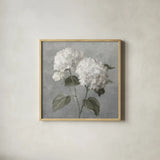 White Hydrangeas by Danhui Nai. Shown in a natural wood glass frame for a timeless modern aesthetic. Available as an archival giclee rolled canvas, fine art paper, or poster print. SKU 91400a.