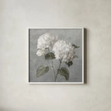 White Hydrangeas by Danhui Nai. Shown in a crisp white glass frame for a clean and minimalist style. Available as an archival giclee rolled canvas, fine art paper, or poster print. SKU 91400a.