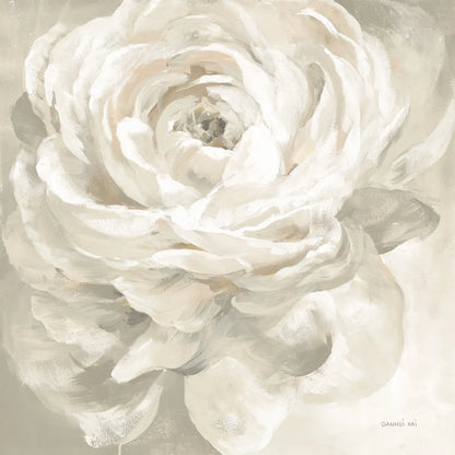 White Rose Gray by Danhui Nai. SKU 77170a. Archival Giclee Fine art print for wall decor.