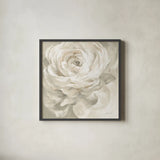 White Rose Gray by Danhui Nai. Shown in a sleek black glass frame for a contemporary gallery look. Available as an archival giclee rolled canvas, fine art paper, or poster print. SKU 77170a.