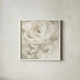 White Rose Gray by Danhui Nai. Shown in a crisp white glass frame for a clean and minimalist style. Available as an archival giclee rolled canvas, fine art paper, or poster print. SKU 77170a.