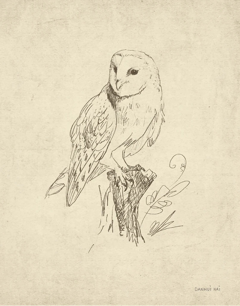 Woodland Owl by Danhui Nai