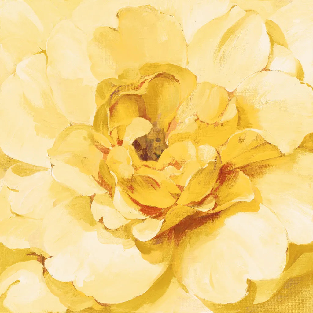 Yellow Peony by Danhui Nai. SKU 65140a. Archival Giclee Fine art print for wall decor.