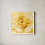 Yellow Peony by Danhui Nai. Shown in a crisp white glass frame for a clean and minimalist style. Available as an archival giclee rolled canvas, fine art paper, or poster print. SKU 65140a.