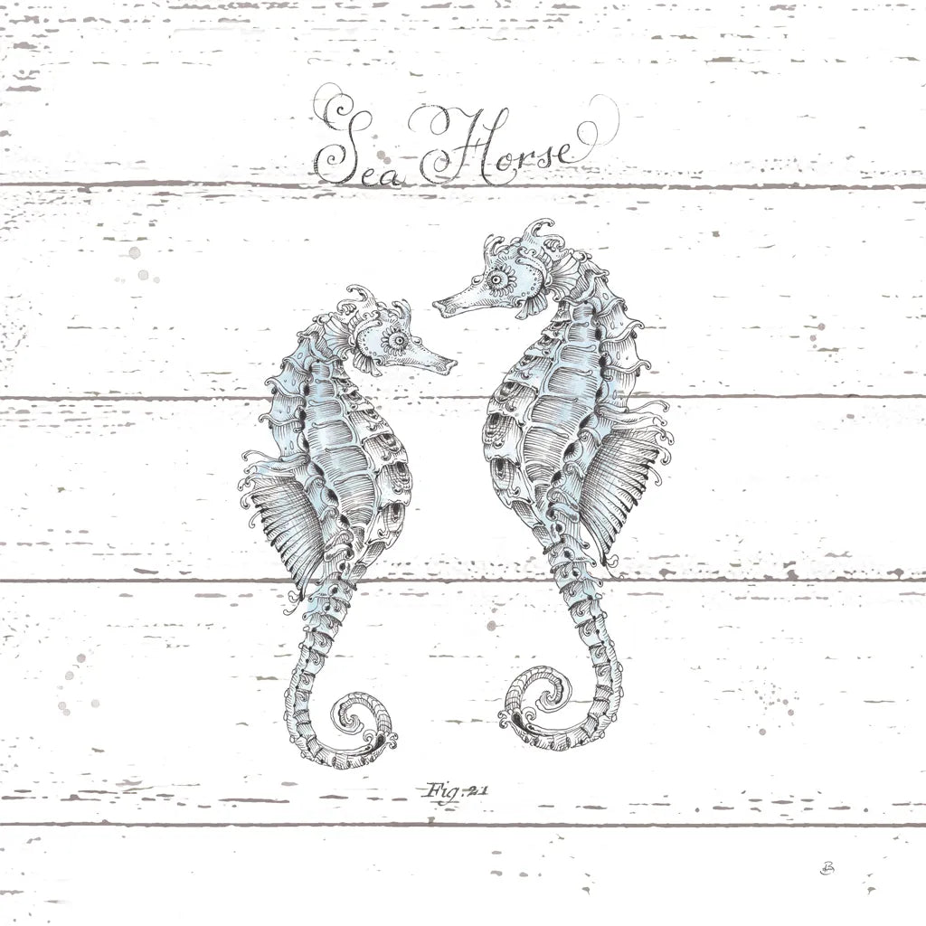 Aqua Underwater Life V Shiplap by Daphne Brissonnet. SKU 38488a. Archival Giclee Fine art print for wall decor.