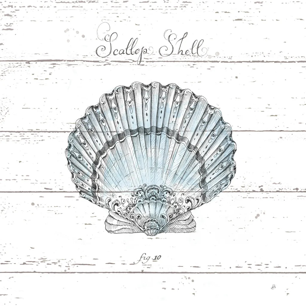 Aqua Underwater Life VIII Shiplap by Daphne Brissonnet. SKU 38489a. Archival Giclee Fine art print for wall decor.