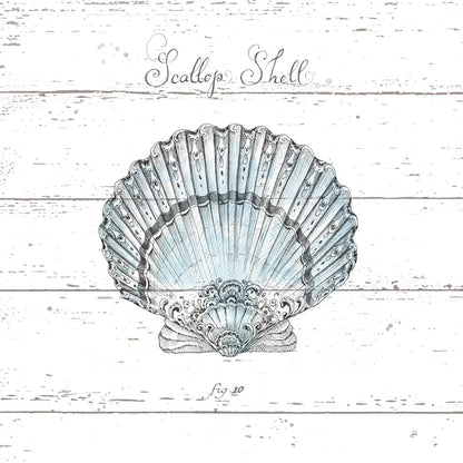 Aqua Underwater Life VIII Shiplap by Daphne Brissonnet. SKU 38489a. Archival Giclee Fine art print for wall decor.