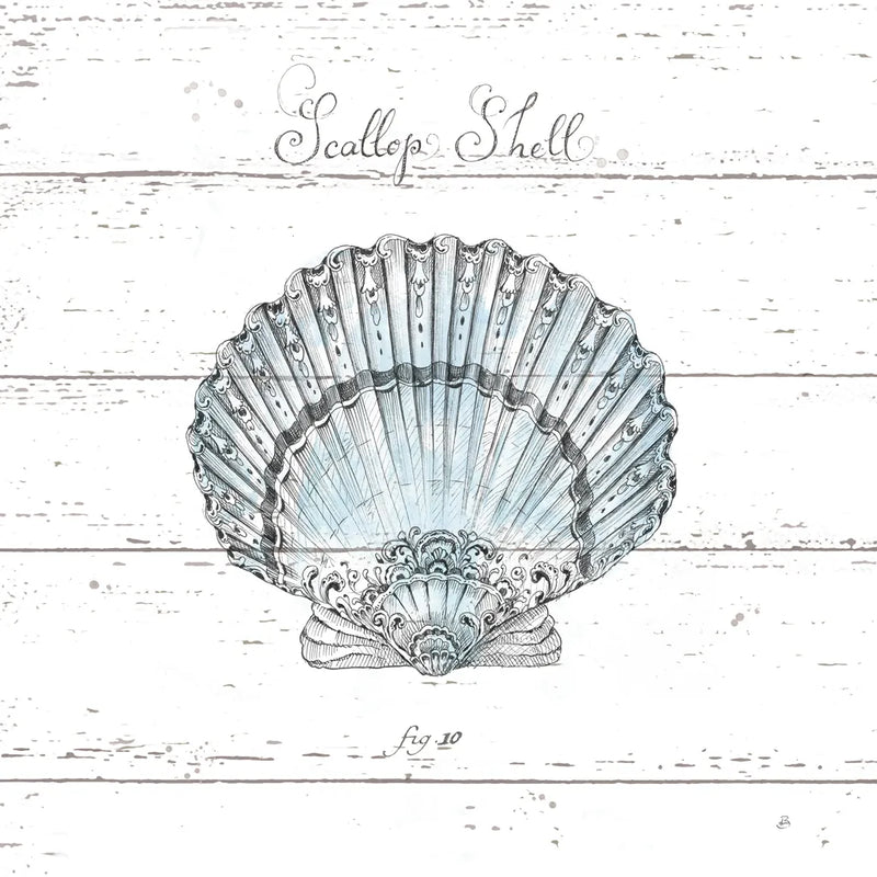 Aqua Underwater Life VIII Shiplap by Daphne Brissonnet. SKU 38489a. Archival Giclee Fine art print for wall decor.