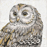 Beautiful Owls I by Daphne Brissonnet. SKU 28801a. Archival Giclee Fine art print for wall decor.