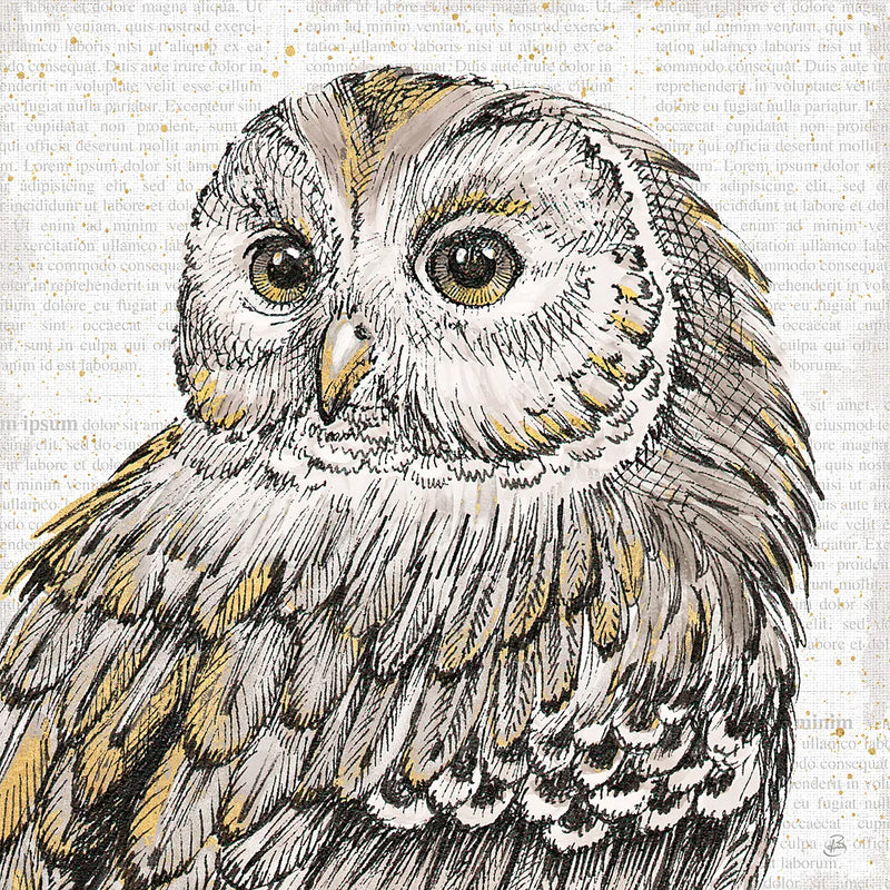 Beautiful Owls I by Daphne Brissonnet. SKU 28801a. Archival Giclee Fine art print for wall decor.