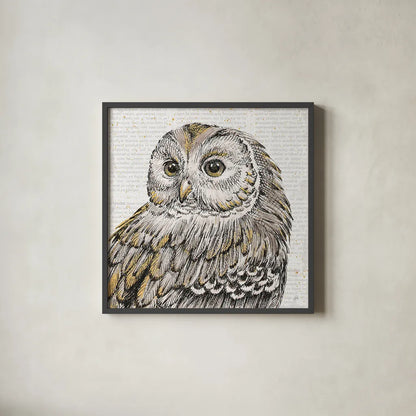 Beautiful Owls I by Daphne Brissonnet. Shown in a sleek black glass frame for a contemporary gallery look. Available as an archival giclee rolled canvas, fine art paper, or poster print. SKU 28801a.