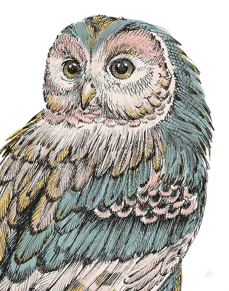 Beautiful Owls I Pastel by Daphne Brissonnet