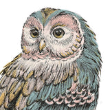 Beautiful Owls I Pastel Crop by Daphne Brissonnet. SKU 30197a. Archival Giclee Fine art print for wall decor.