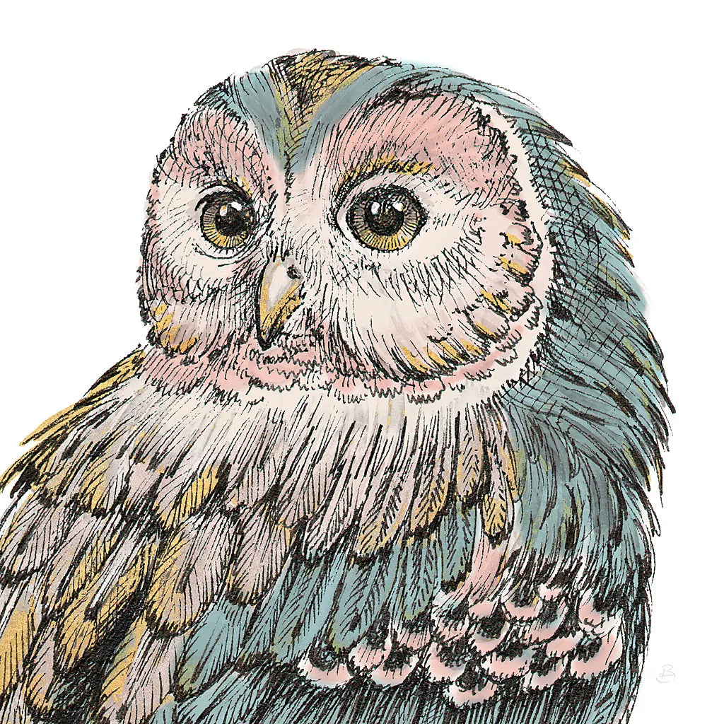 Beautiful Owls I Pastel Crop by Daphne Brissonnet. SKU 30197a. Archival Giclee Fine art print for wall decor.