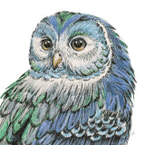 Beautiful Owls I Peacock Crop by Daphne Brissonnet. SKU 35875a. Archival Giclee Fine art print for wall decor.