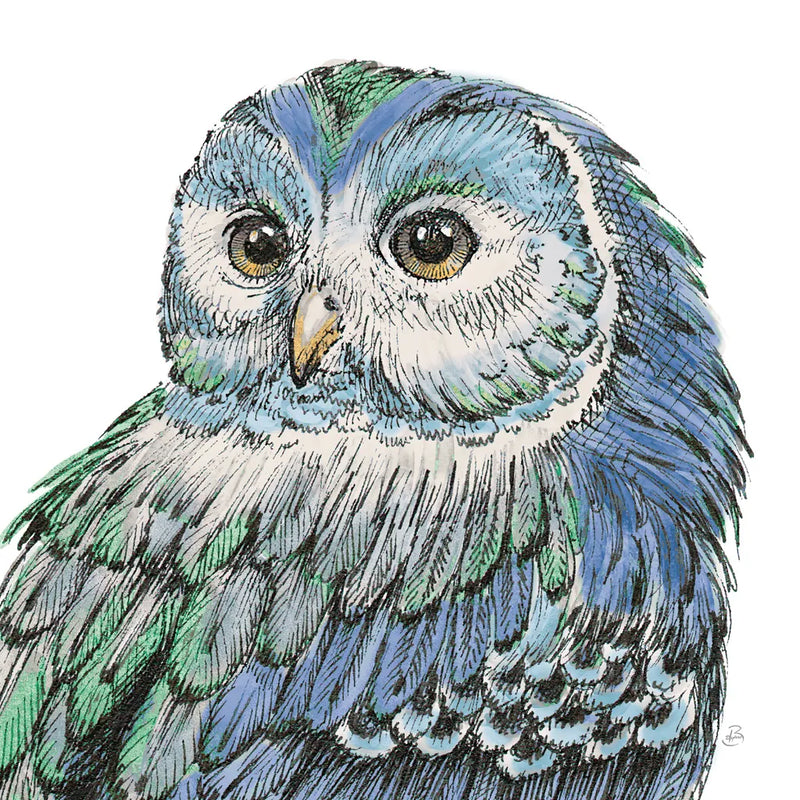 Beautiful Owls I Peacock Crop by Daphne Brissonnet. SKU 35875a. Archival Giclee Fine art print for wall decor.