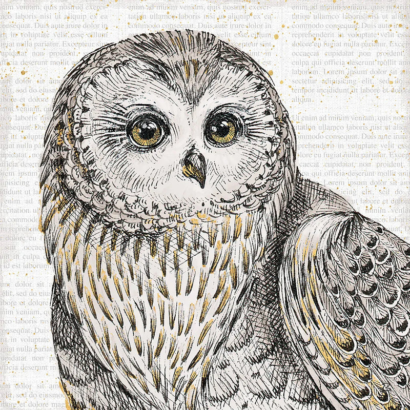 Beautiful Owls II by Daphne Brissonnet. SKU 28802a. Archival Giclee Fine art print for wall decor.