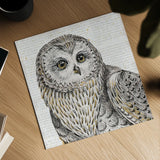 Beautiful Owls II by Daphne Brissonnet. Shown as a detailed flat fine art print, highlighting archival giclee quality. Available as an archival giclee rolled canvas, fine art paper, or poster print. SKU 28802a.
