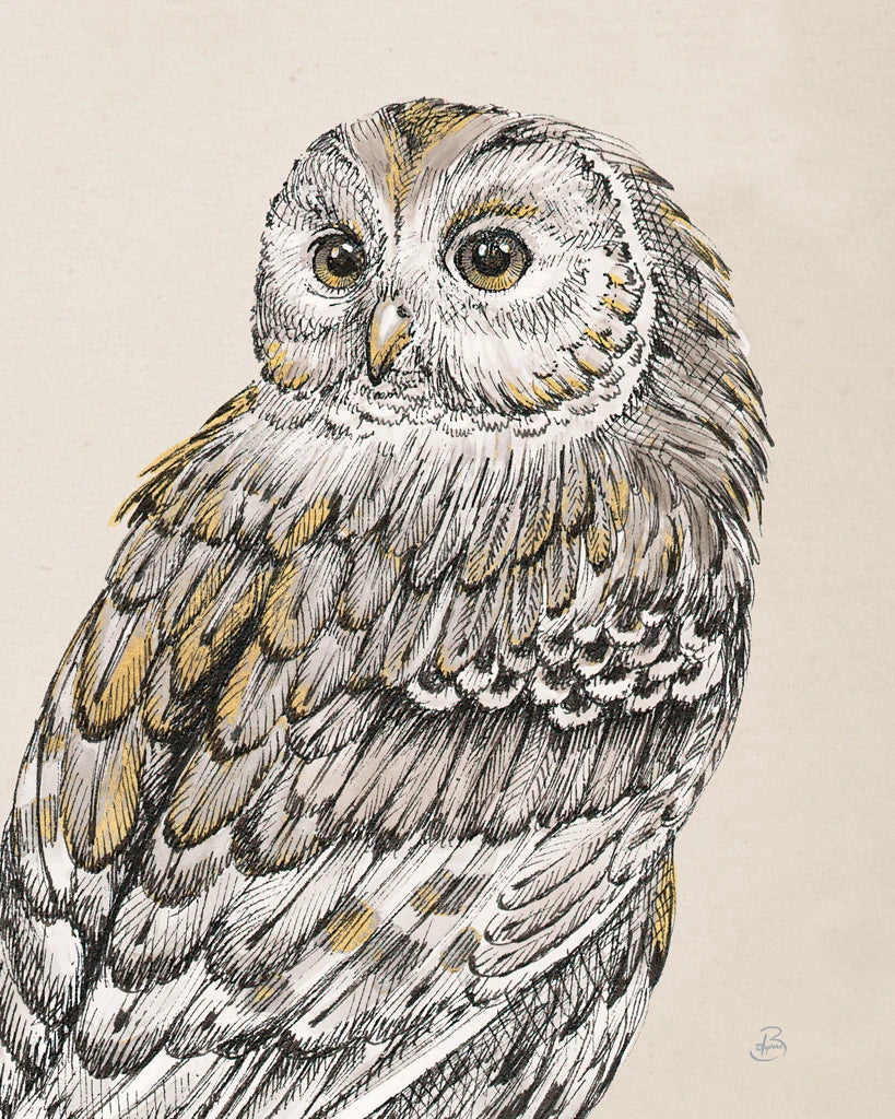 Beautiful Owls III Vintage by Daphne Brissonnet
