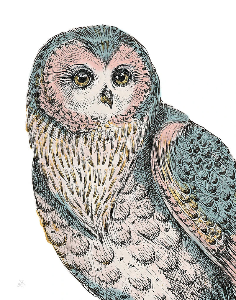 Beautiful Owls IV Pastel by Daphne Brissonnet