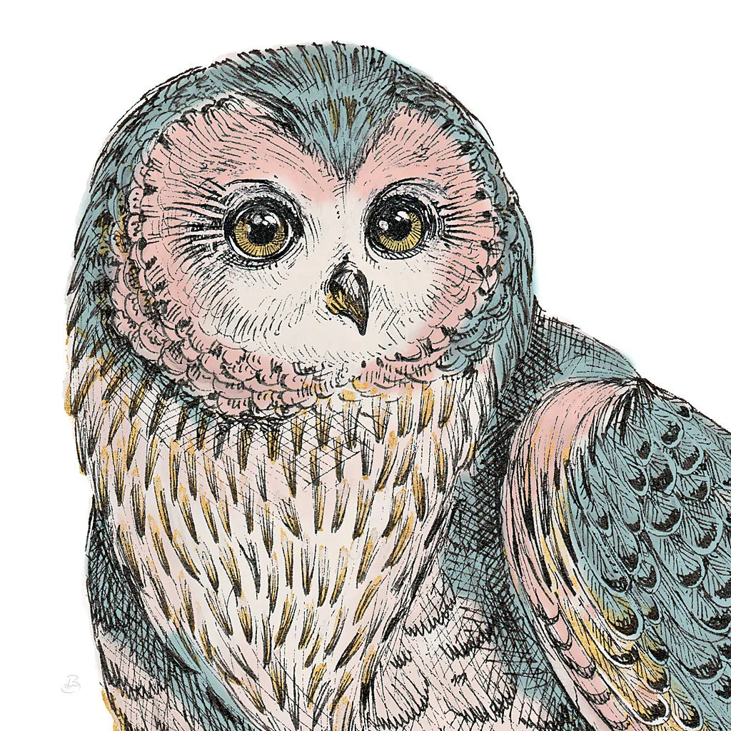 Beautiful Owls IV Pastel Crop by Daphne Brissonnet. SKU 30198a. Archival Giclee Fine art print for wall decor.