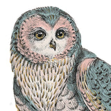 Beautiful Owls IV Pastel Crop by Daphne Brissonnet. SKU 30198a. Archival Giclee Fine art print for wall decor.