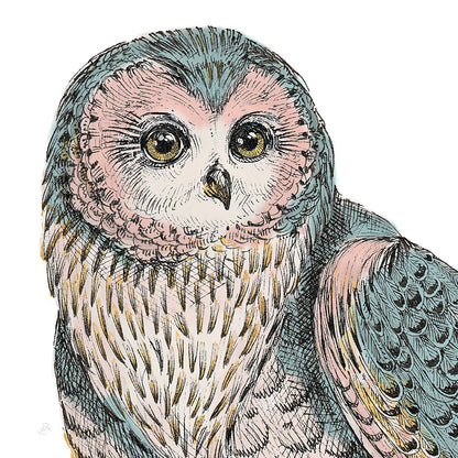 Beautiful Owls IV Pastel Crop by Daphne Brissonnet. SKU 30198a. Archival Giclee Fine art print for wall decor.