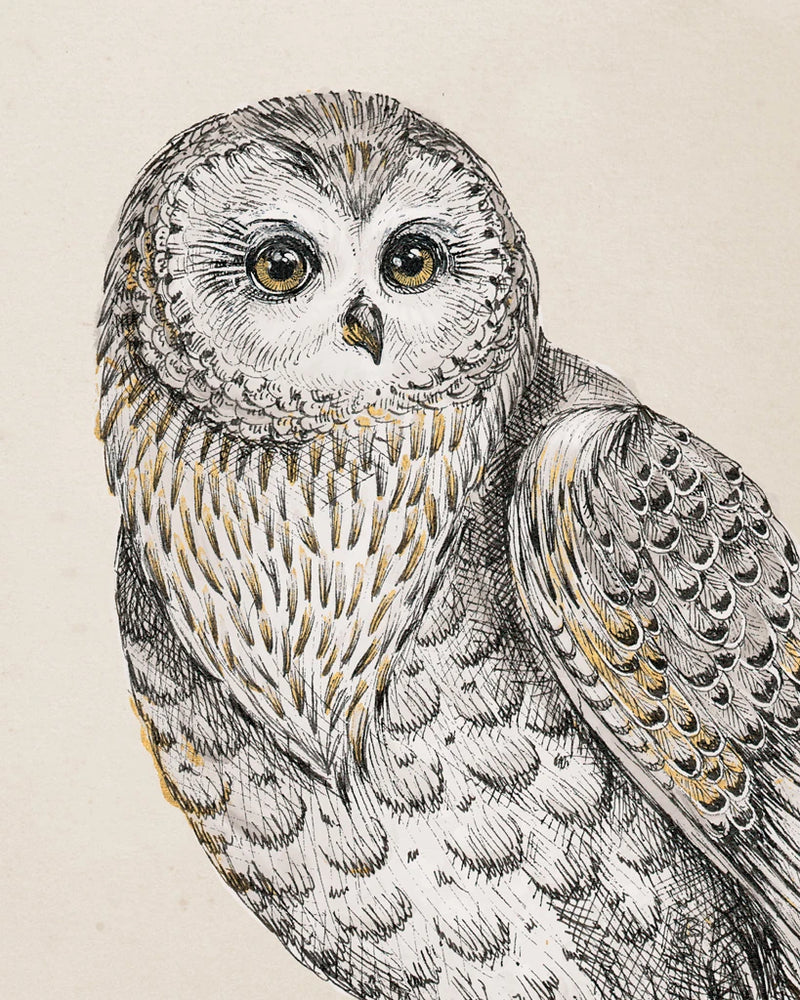 Beautiful Owls IV Vintage by Daphne Brissonnet