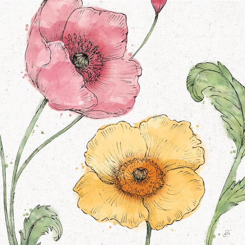 Blossom Sketches I Color by Daphne Brissonnet. SKU 54829a. Archival Giclee Fine art print for wall decor.