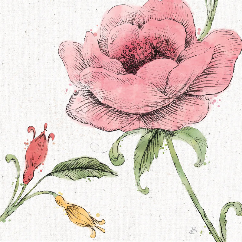 Blossom Sketches II Color by Daphne Brissonnet. SKU 54830a. Archival Giclee Fine art print for wall decor.