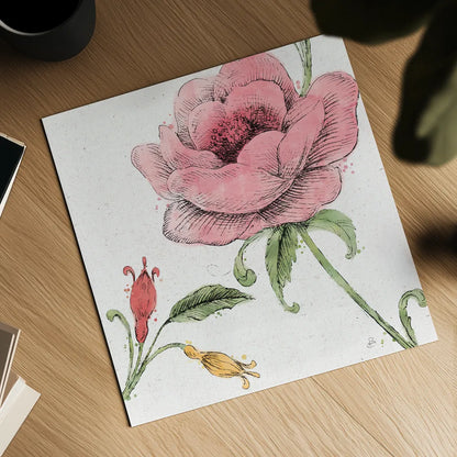 Blossom Sketches II Color by Daphne Brissonnet. Shown as a detailed flat fine art print, highlighting archival giclee quality. Available as an archival giclee rolled canvas, fine art paper, or poster print. SKU 54830a.