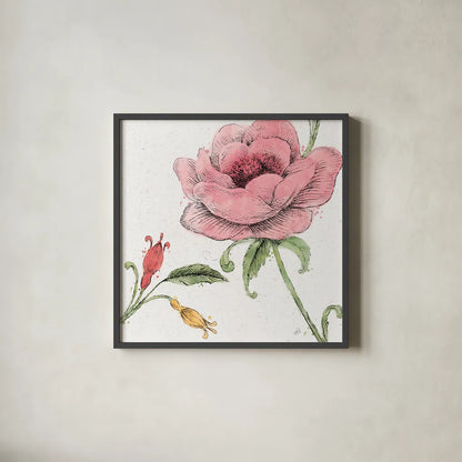 Blossom Sketches II Color by Daphne Brissonnet. Shown in a sleek black glass frame for a contemporary gallery look. Available as an archival giclee rolled canvas, fine art paper, or poster print. SKU 54830a.