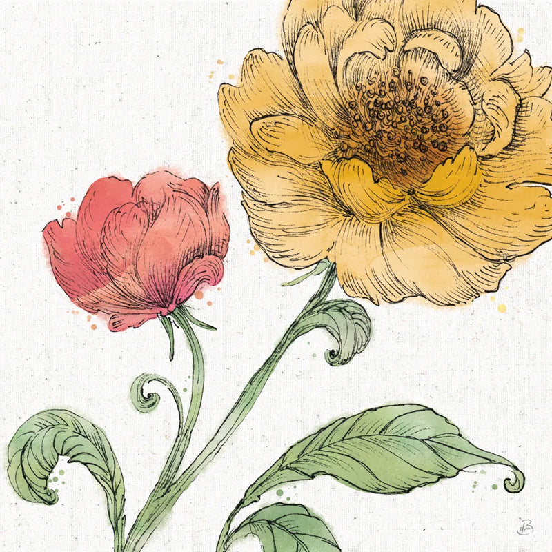 Blossom Sketches III Color by Daphne Brissonnet. SKU 54831a. Archival Giclee Fine art print for wall decor.