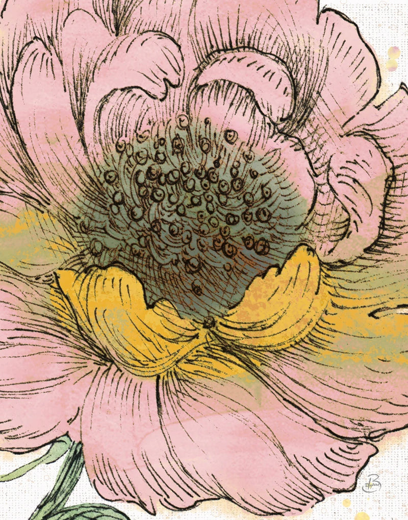 Blossom Sketches III Pink Crop by Daphne Brissonnet