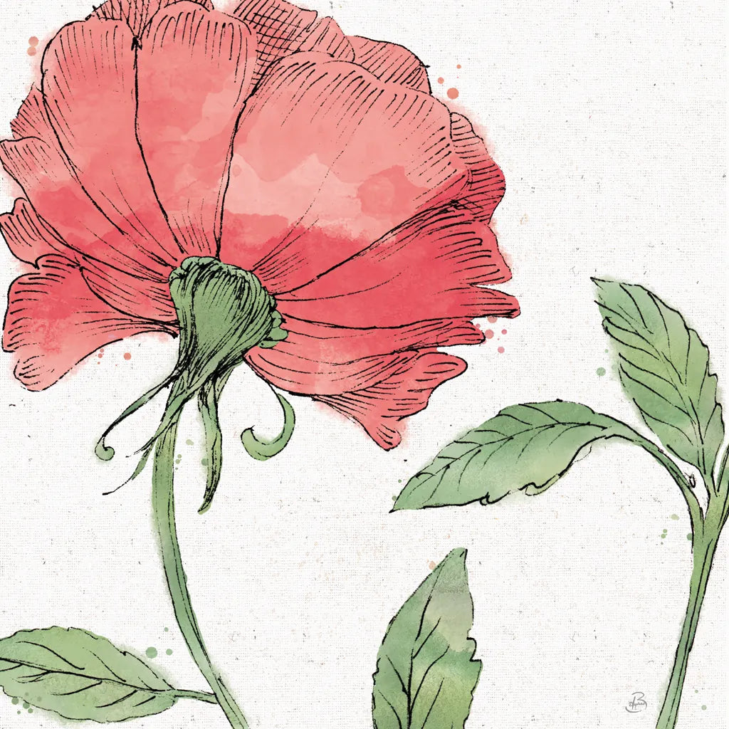 Blossom Sketches IV Color by Daphne Brissonnet. SKU 54832a. Archival Giclee Fine art print for wall decor.