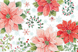 Country Poinsettias I by Daphne Brissonnet. SKU 46263i. Archival Giclee Fine art print for wall decor.