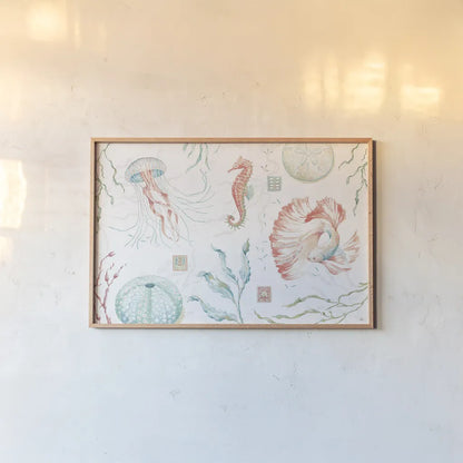 Delicate Sea I by Daphne Brissonnet. shown as a paper print in a natural frame. Available as a archival giclee rolled canvas, fine art paper, or poster print. SKU 74691i.