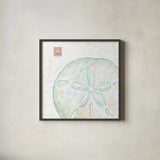 Delicate Sea IX by Daphne Brissonnet. Shown in a sleek black glass frame for a contemporary gallery look. Available as an archival giclee rolled canvas, fine art paper, or poster print. SKU 74699a.