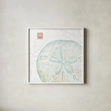 Delicate Sea IX by Daphne Brissonnet. Shown in a crisp white glass frame for a clean and minimalist style. Available as an archival giclee rolled canvas, fine art paper, or poster print. SKU 74699a.